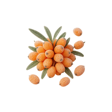 Boabe de cătină congelate